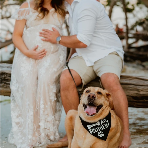 Pink Blush Maternity Dress - Medium - Picture 3 of 3